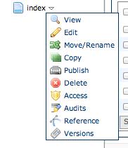 9 REGIONS WHERE MULTIPLE ITEMS ARE ALLOWED If a region will allow for the entry of multiple areas of content a plus symbol will appear in the upper left of the region s editing area.