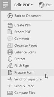 FILE VIEWS VIEW DEVELOPER BAR 1. Click on the View menu, point to Tools 2. Point to Create PDF and choose Open Your development toolbar is now displayed immediately above the file.