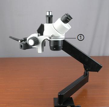 Operation Using the Trinocular Port The AmScope SM-6T model is uniquely designed so that you can view the image through the eyepieces and the trinocular port without removing the camera or using your