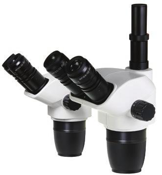 1903-S HEAD Binocular or trinocular heads with 45 inclined tubes. Both eyepieces with ± 5 diopter adjustments.