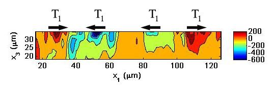 96 (a) Cell-induced shear tractions at t 2 = 70 min (b) Cell-induced shear tractions at t 2 = 70 min (c) Cell-induced