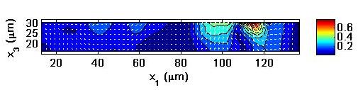 52 (a) Cross-sectional displacement contour plot through the substrate thickness at t 1 = 35 min (b) Enlarged view of the contour plot in 4.3(a) and location of displacement line plot shown in 4.