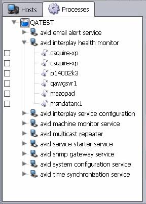 3 Avid Interplay Diagnostics Selecting Processes The Directory pane also contains check boxes located to the left of each process displayed.