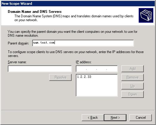 then click Next. This example uses uam.test.com as the parent domain name, and 1.2.2.33 as the DNS server address.