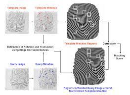 Biometric Security Technique: A Review end, bifurcation and trifurcation or different elements, for example, pores (little openings inside the edges), lake (two shut bifurcations), spot (short