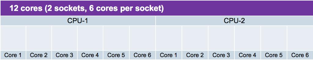 Consider the number of PHYSICAL cores on the server CPU Cores Do not