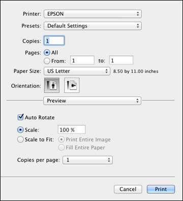 Note: The print window may look different, depending on the version of OS X and the application you are using. 5. Select the Copies and Pages settings as necessary.