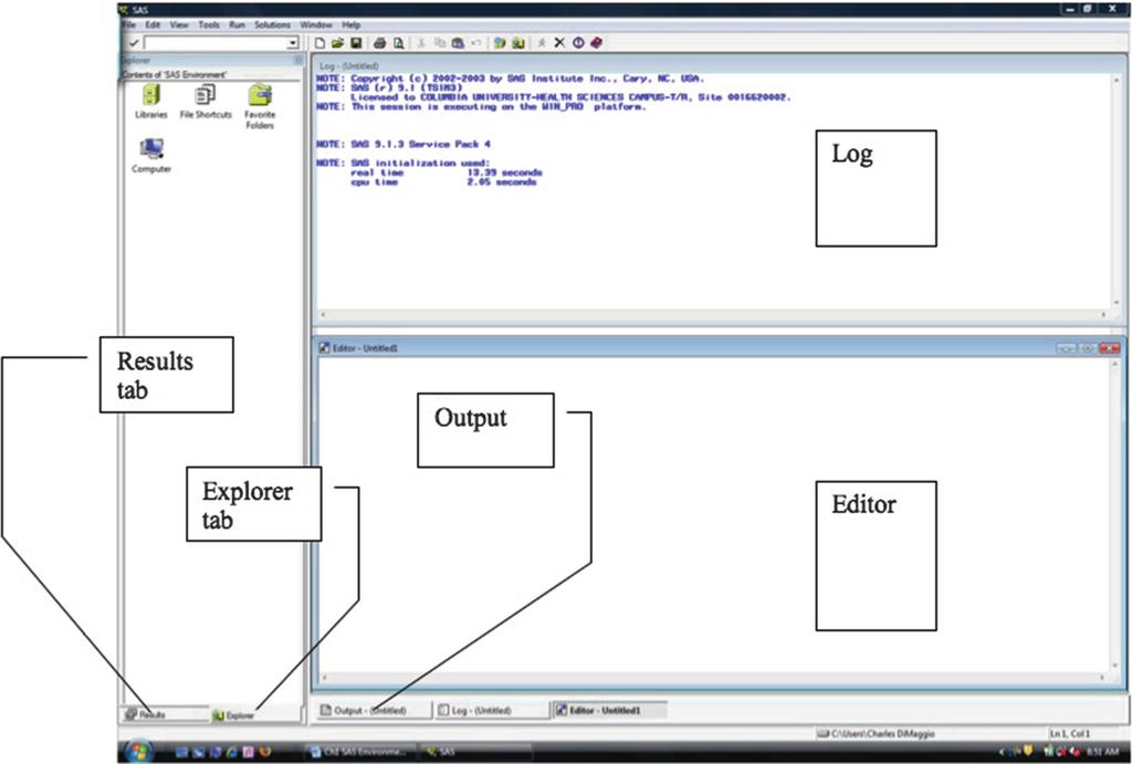 10 2 The SAS Environment Fig. 2.1 The SAS screen The program editor window is available across all computing platforms.