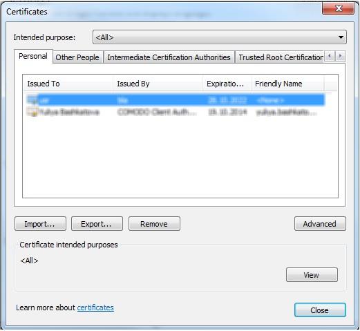 Manage Certificates - Opens the Windows SSL certificate store.