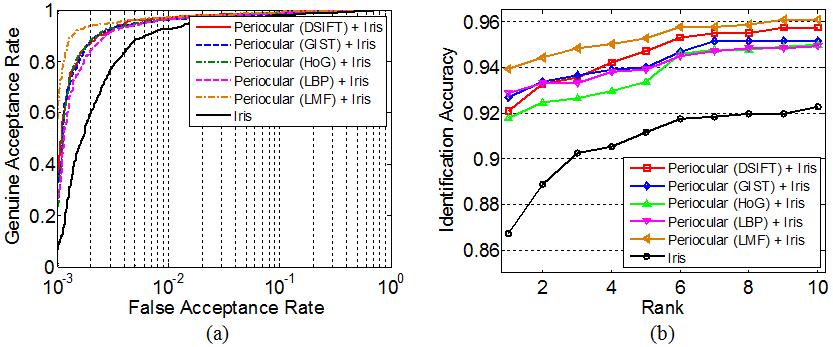 Figure 25: Recognition performance for the score fusion of the periocular and iris features for CASIA.