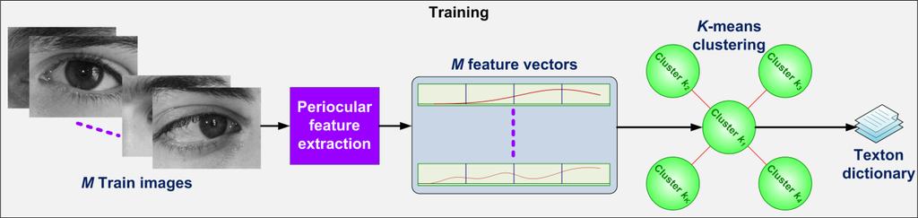 (a) (b) Figure 26: Illustration of periocular training and matching processes: (a) training of texton dictionary,