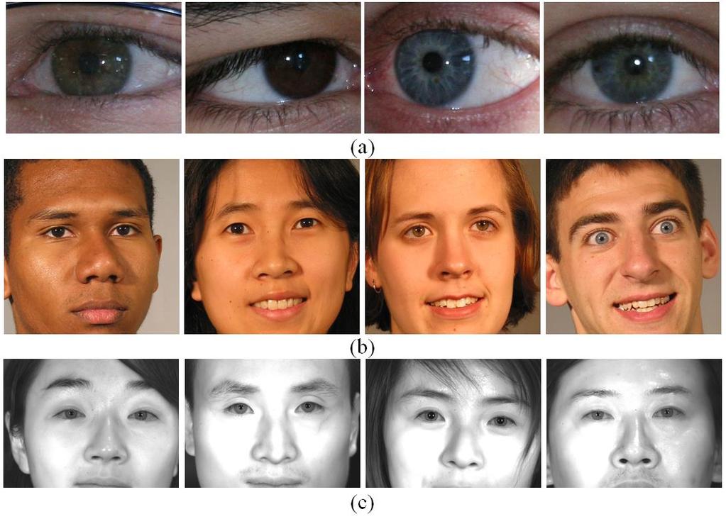Conclusion This paper has presented a promising approach for automated human recognition by simultaneously exploiting iris and periocular features to provide improved recognition performance.