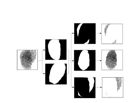 Fig.2. Procedure to divide the regions. In the Fig.2, it gives the procedure to divide the regions. An overlapped fingerprint image is segmented into non overlapping blocks of 16x16 pixels.