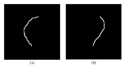 in the overlapped region; c) one of the non overlapped orientation fields; d) the other non overlapped orientation field. (e)- (h) are the corresponding region masks of (a)-(d) respectively.