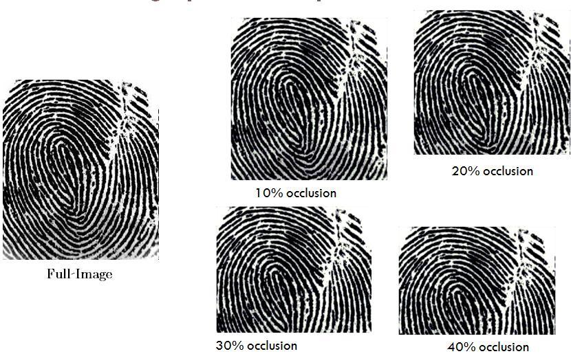 [3] Davide Maltoni, Dario Maio, A. K. Jain and Salil Prabhakar, Handbook of Fingerprint Recognition, Second Edition, Springer, 2009.
