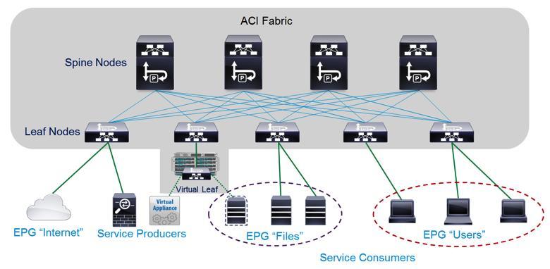 Figure 1. Fabric Network Setup and Device Attachment Figure 2 depicts Web and Database EPGs, which receive network settings from their respective application profiles within the fabric.