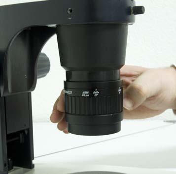 Tips for working ergonomically Align your stereomicroscope optimally.