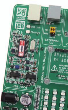 BIGdsPIC6 Development System 9 A programmer is a necessary tool when working with microcontrollers.