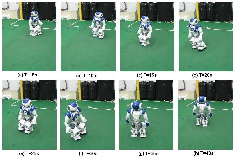 periodic biped motions including forward walking, sideways walking, turning and so on.