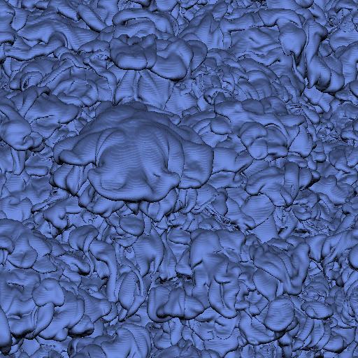 Isosurface images of value 70 from