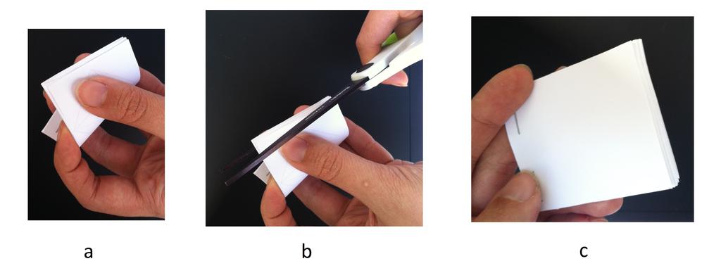 Fractal Flipbooks Figure 2 : Method for creating a bias-cut flipping edge ([7]). may be used for title and byline.