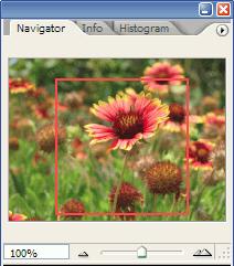 Navigator Palette A. Palette menu button B. Thumbnail display of artwork C. Proxy preview area D. Zoom text box E. Zoom Out button F. Zoom slider G.