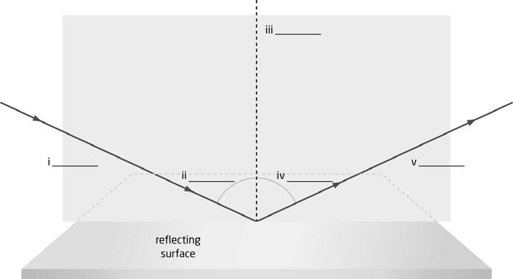 Matching Identify the term that best matches each label on the reflection diagram. a. normal d. incident ray b. angle of incidence e. reflected ray c. angle of reflection 19.