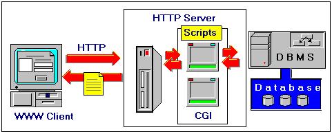 Generally, a CGI script in invoked by an HTTP request looking as follows: http://[uniform Resource Locator of the script] & [parameters] Parameters are passed to a CGI application as a value of