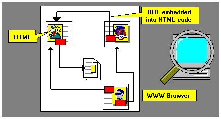 The fact that HTML is the WWW de facto standard for describing how information is structured and displayed underlines its importance to the web architecture.