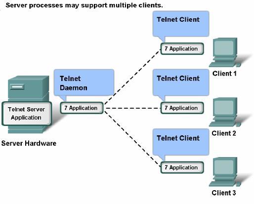 Application Layers services and protocols servers typically have multiple clients requesting information at the same time; individual