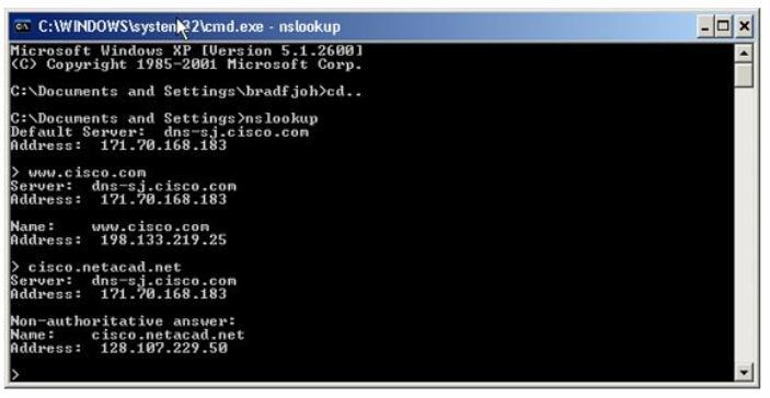 DNS Services and Protocol Nslookup computer operating system utility; allows the user to manually query the name servers to resolve a given host name; can be used to troubleshoot name resolution