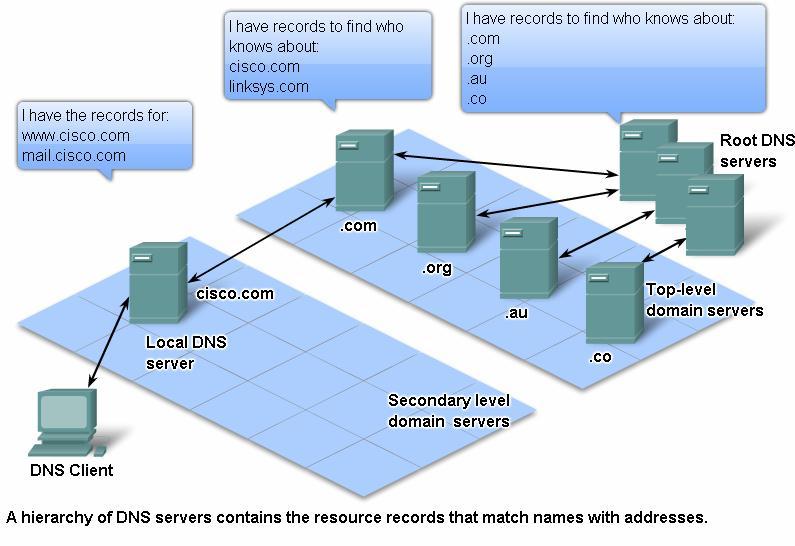 DNS Services and Protocol Second-level domain names, and below them are other lower