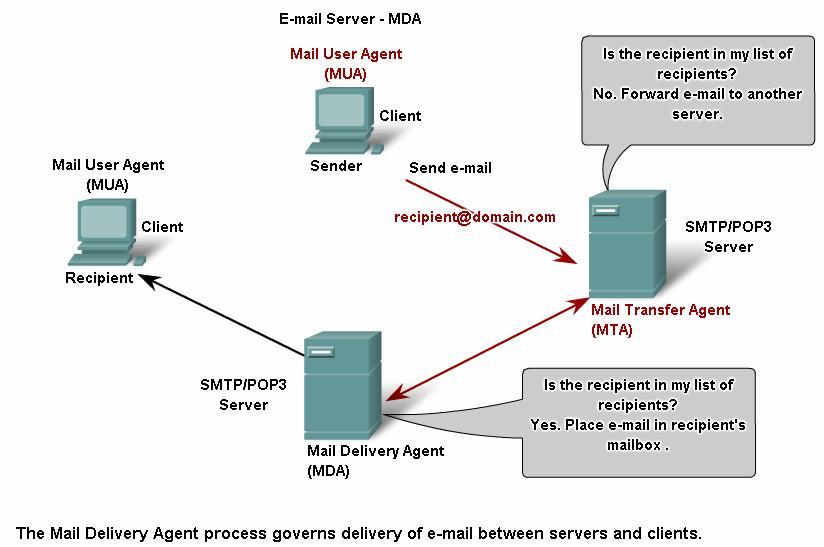 POP and SMTP protocols E-mail server operates two separate processes: Mail Transfer Agent (MTA) Mail Delivery Agent (MDA) Mail