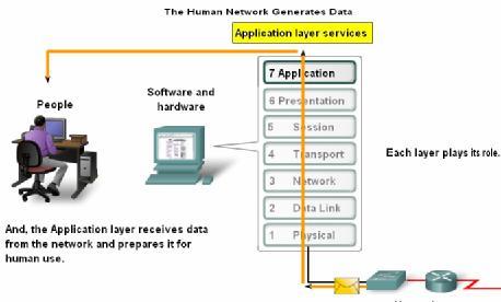 Applications The Interface Between Human and Data Networks Application layer protocols: used to exchange data between programs running on the source