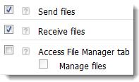 Additional Enhancements Enhanced File Manager Permissions Rescue Administrators can fine-tune their technicians file management permissions. 1.
