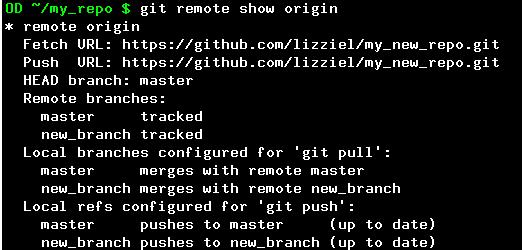 Push New Branch to Remote Make sure you are on the branch $ git branch If you aren t, check it out $ git checkout new_branch If you are, make sure everything is committed $ git status The rest is