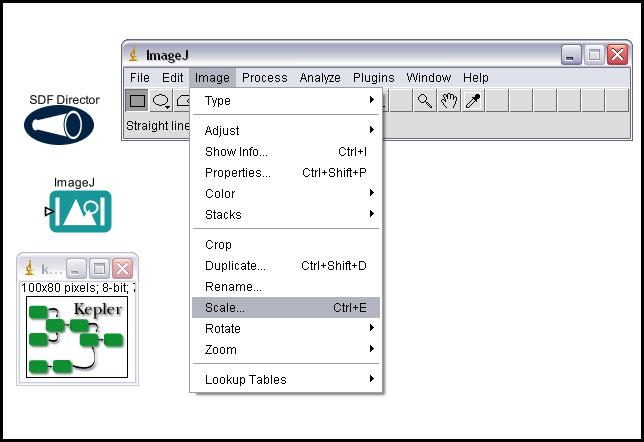 Chapter 8 Figure 8.28: Scaling an image using the ImageJ Scale menu item. A dialog box allows users to select scaling settings (Figure 8.29). Images can be scaled by a factor (.