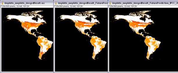 Chapter 9 Figure 9.3: Maps output by the GARP_SingleSpecies_BestRuleSet-IV.xml workflow.