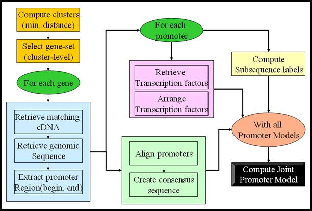 Chapter 5 Figure 5.4: A conceptual prototype of the Promoter Identification workflow. 14 Complex workflows can easily be prototyped in Kepler using the CompositeActor actor.