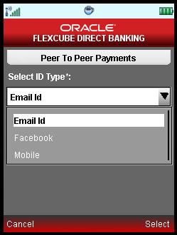 Pay Now The following page is displayed. 2. Select the desired ID Type from the dropdown.