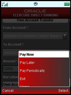 Own Account Transfer Own Account Transfer Field Pay Now Pay Later Click the Pay Now button to process the funds transfer immediately.