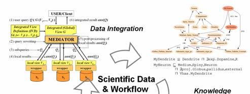 Scientific Data Integration: From the Big Picture to