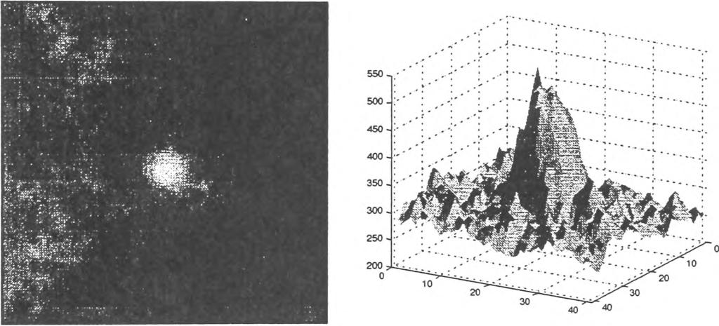 Based on this visual concept, a model of the object of interest can be developed. Figure 4.1 shows a typical microcalcification image and its topographic representation. Figure 4.1. An example of a typical microcalcification in a segment of image measuring 100x100 pixels (3.
