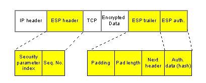 Figure 5 show the example of a packet of ESP.