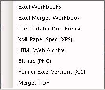 Excel Workbooks: each report will result in a single Excel workbook.