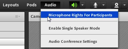 9. Once you have your own microphone set up, go to the menu bar at the top and click on Audio, then click on Microphone Rights For Participants.