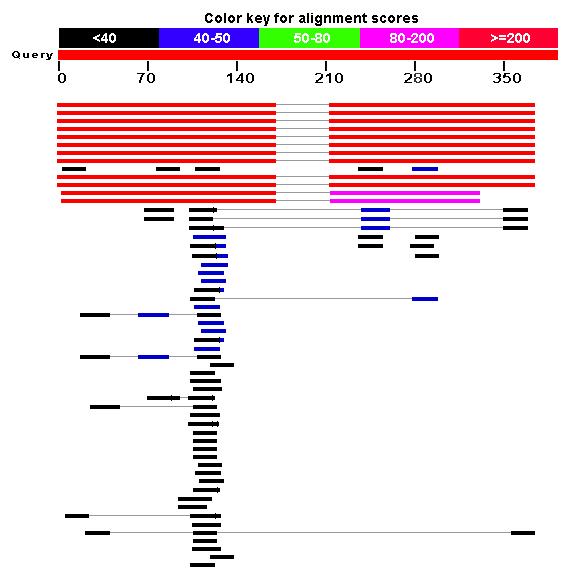 The default layout of the NCBI BLAST result is a graphical representation of the hits found, a table of sequence identifiers of the hits together with scoring information, and alignments of the query