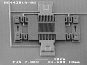 MEMS Accelerometer A spring-like structure connects the device to a