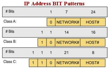 Hosts for Classes of IP Addresses A Class A network, the first octet is assigned, leaving the last three octets (24 bits) to be assigned to hosts A Class A network, is 2 24 (minus 2: the network and