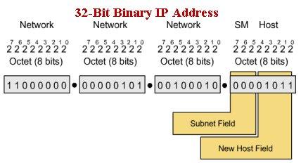Subnets Subnet addresses include the Class A, Class B, or Class C network portion, plus a subnet field and a host field The subnet field and the host field are created from the original host portion